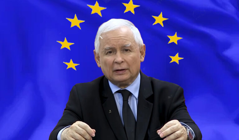 Kaczyński chory psychicznie? Oburzenie w sieci po słowach o euro [VIDEO]